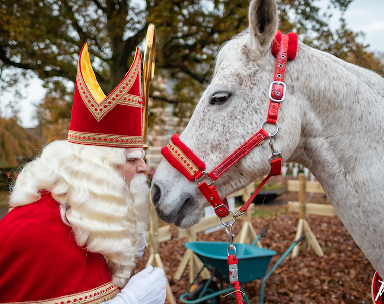 Sinterklaas intocht Wijchen - Wijchen=