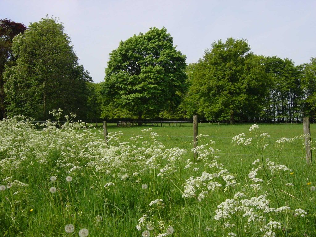 Hernen-Fietstocht door het land van Maas en Waal - foto glk - Wijchen=