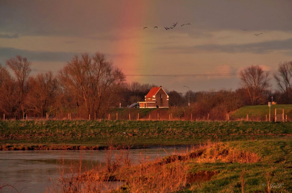 De dijk bij Balgoij - fotograaf Jolanda van de Logt - Wijchen=