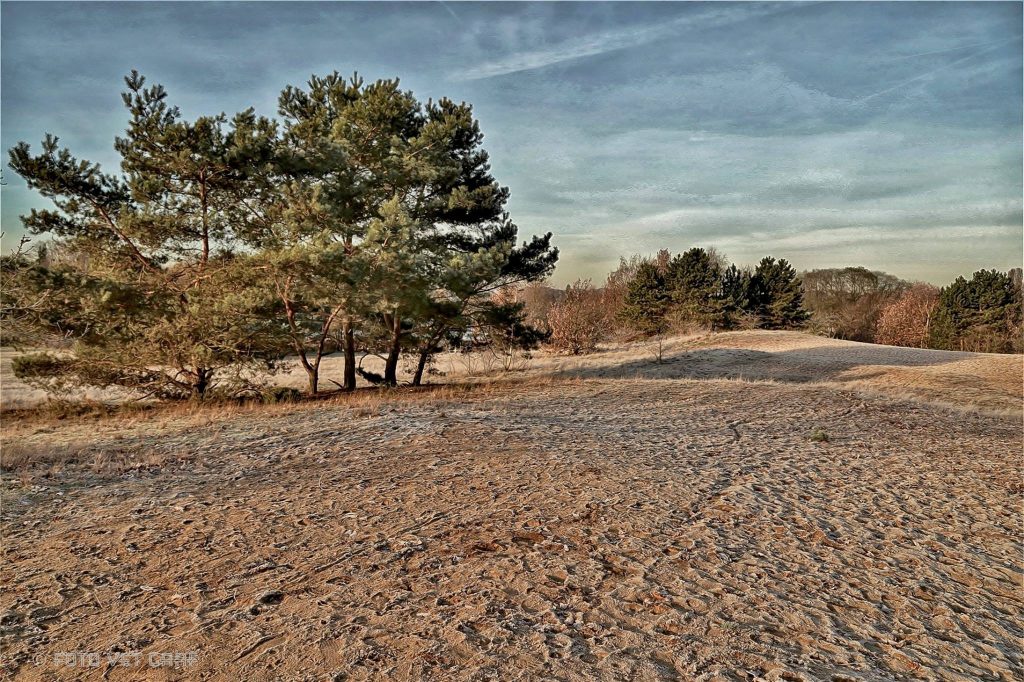 Smelenberg Wijchen - Fotograaf Jolanda van de Logt - Wijchen=