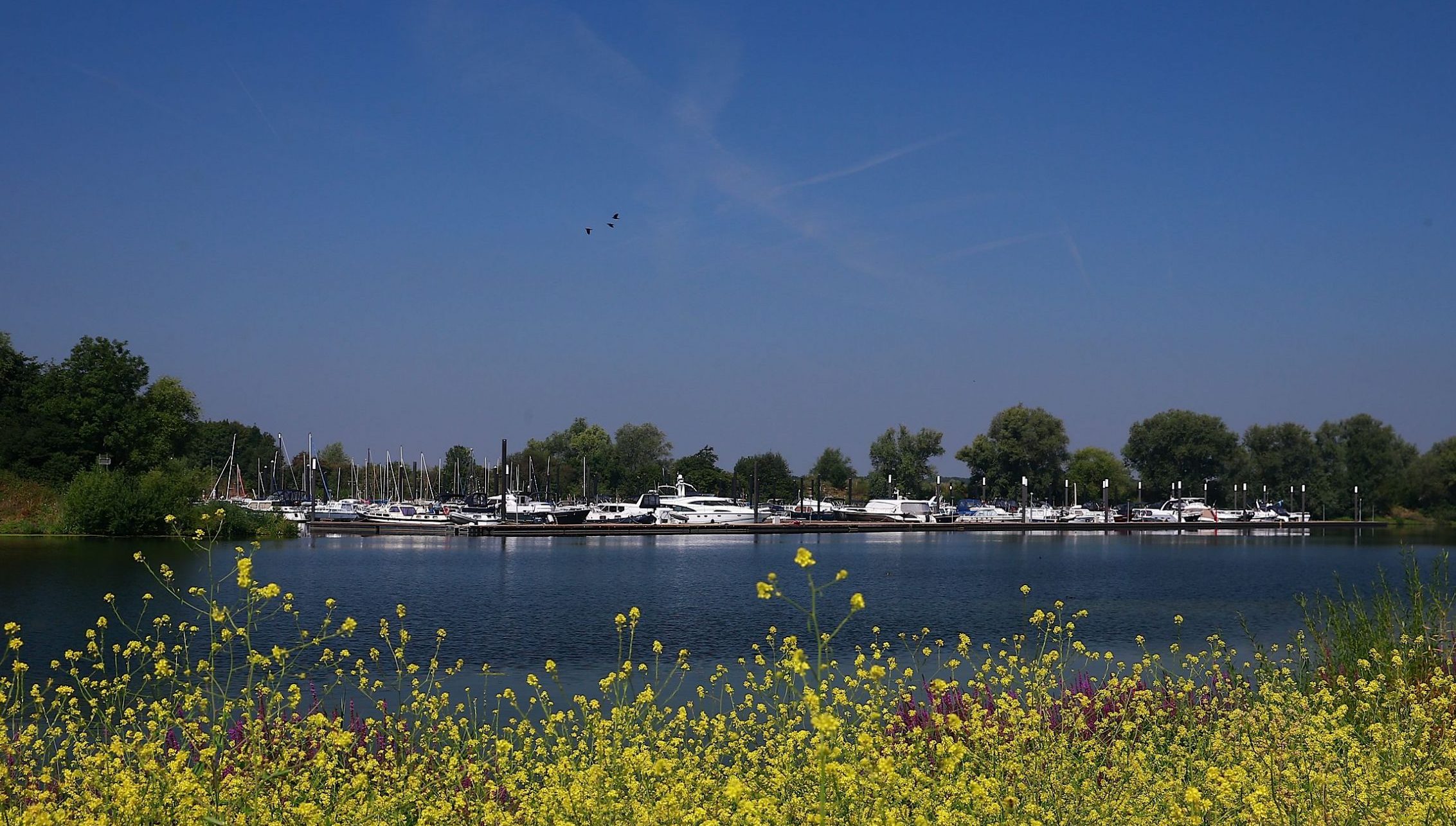 Jachthaven Batavier Niftrik - Wijchen= 1