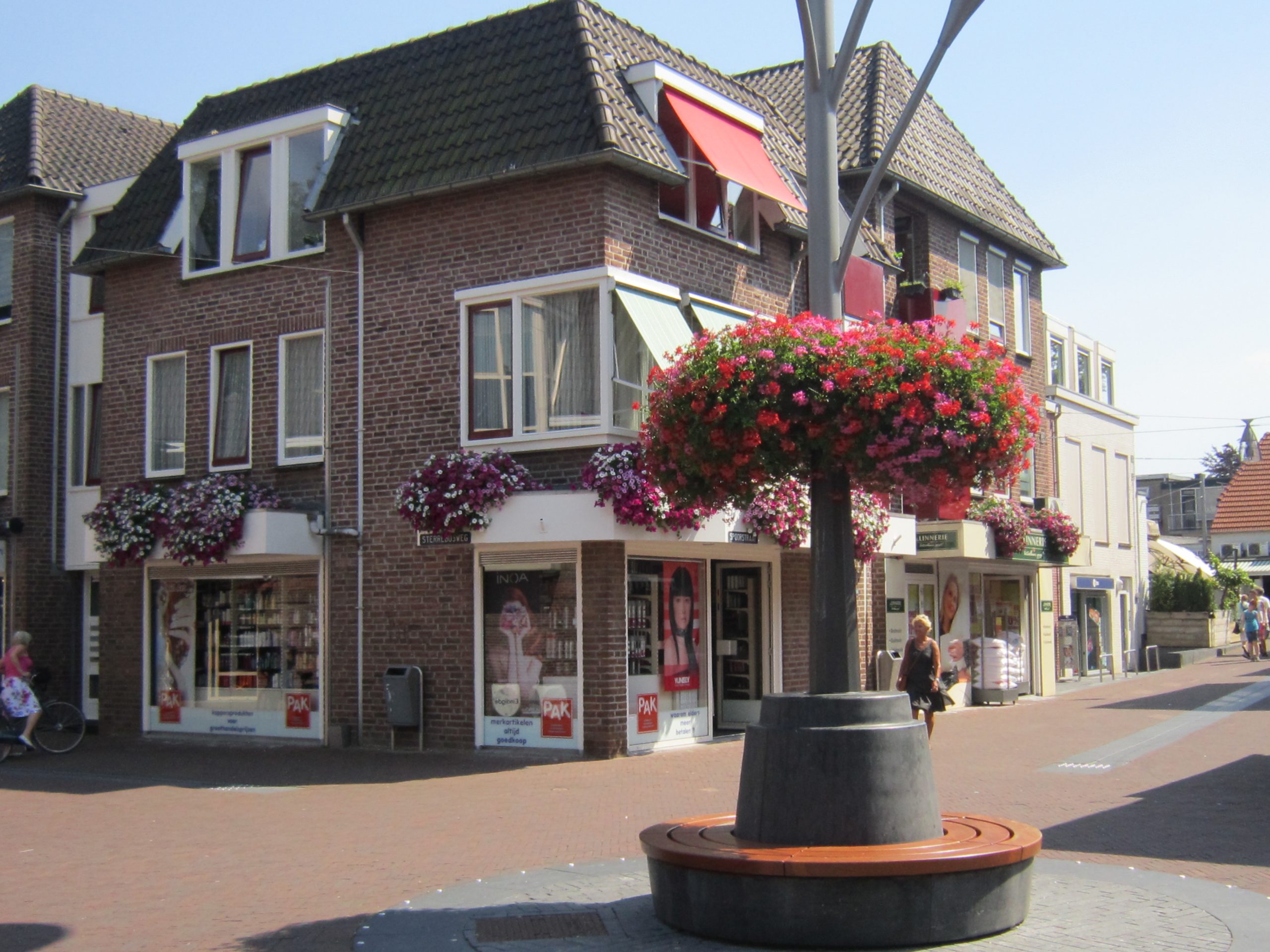 Bloemen in het centrum - Wijchen=