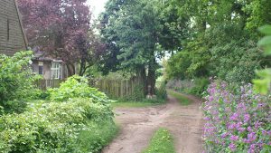 B&B de Hebkesberg Bergharen - Wijchen=