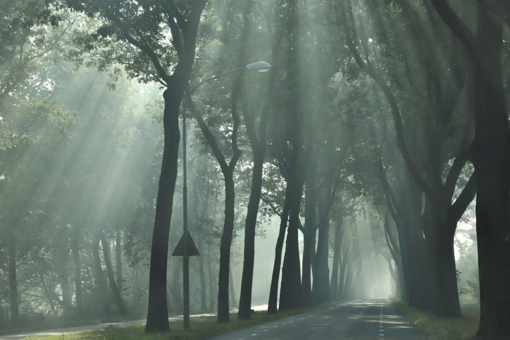 Buitengebied Alverna - fotograaf Jolanda van de Logt - Wijchen=