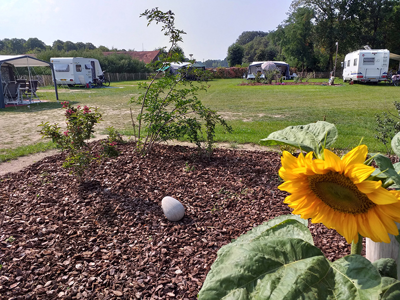 Camping het Scharrelnest Wijchen = Wijchen=