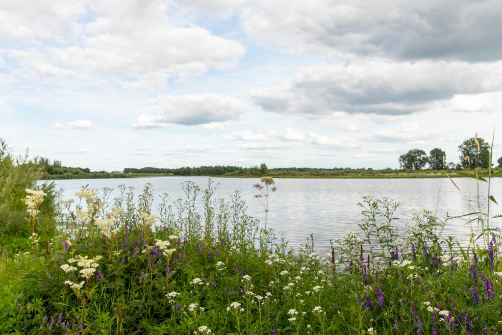 2022157---Liendense-waard-uiterwaarden-maas---Fietstocht-land-van-maas-en-waal-26-aug-22---Ton-Rothengatter