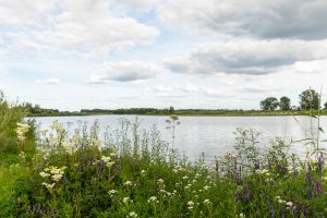 2022157---Liendense-waard-uiterwaarden-maas---Fietstocht-land-van-maas-en-waal-26-aug-22---Ton-Rothengatter