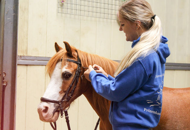 Paardrijden voor kleuters manege Prinsenbankhoef - Wijchen=