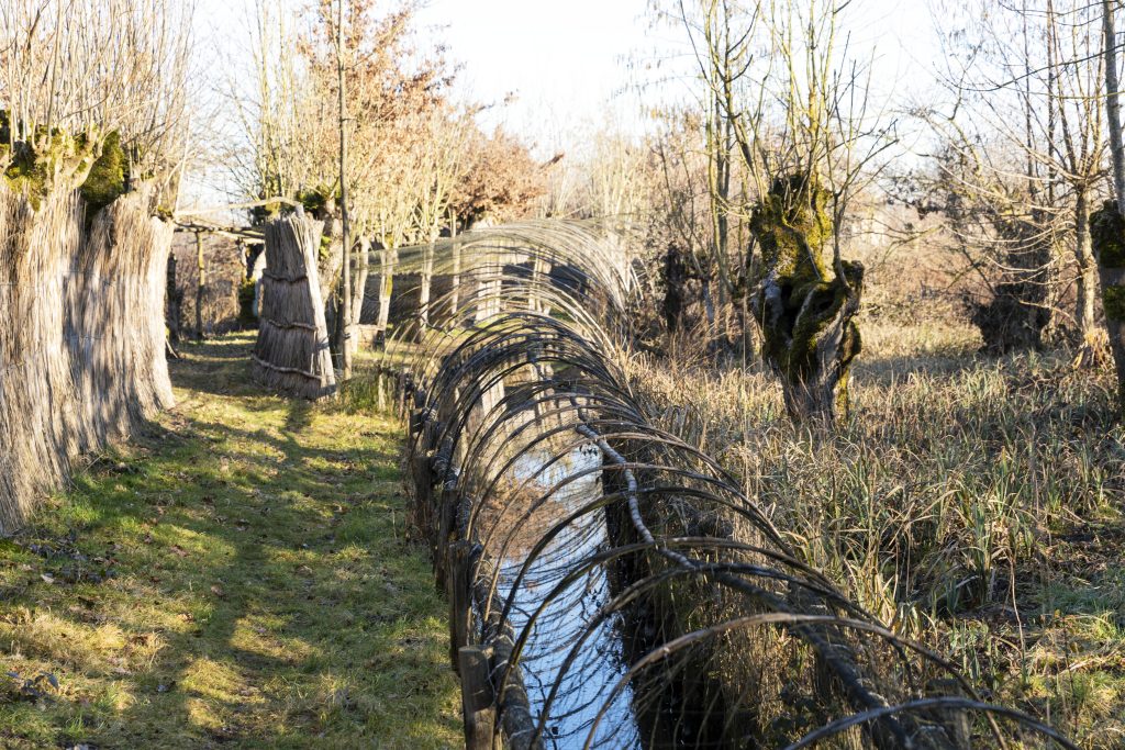 Eendenkooi-Batenburg_foto-Ton_Rothengatter-Wijchen=