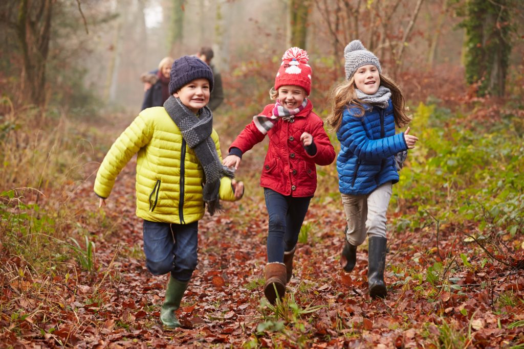 Hernense-Bos-ontdekkingstocht- Wijchen=