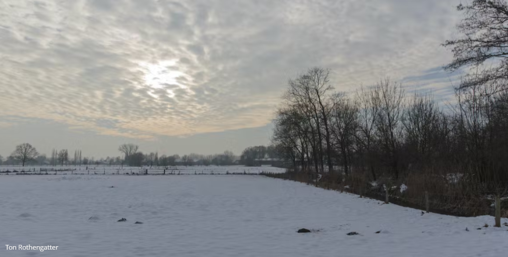 wintersferen-wandeling-bergharen-wijchen=