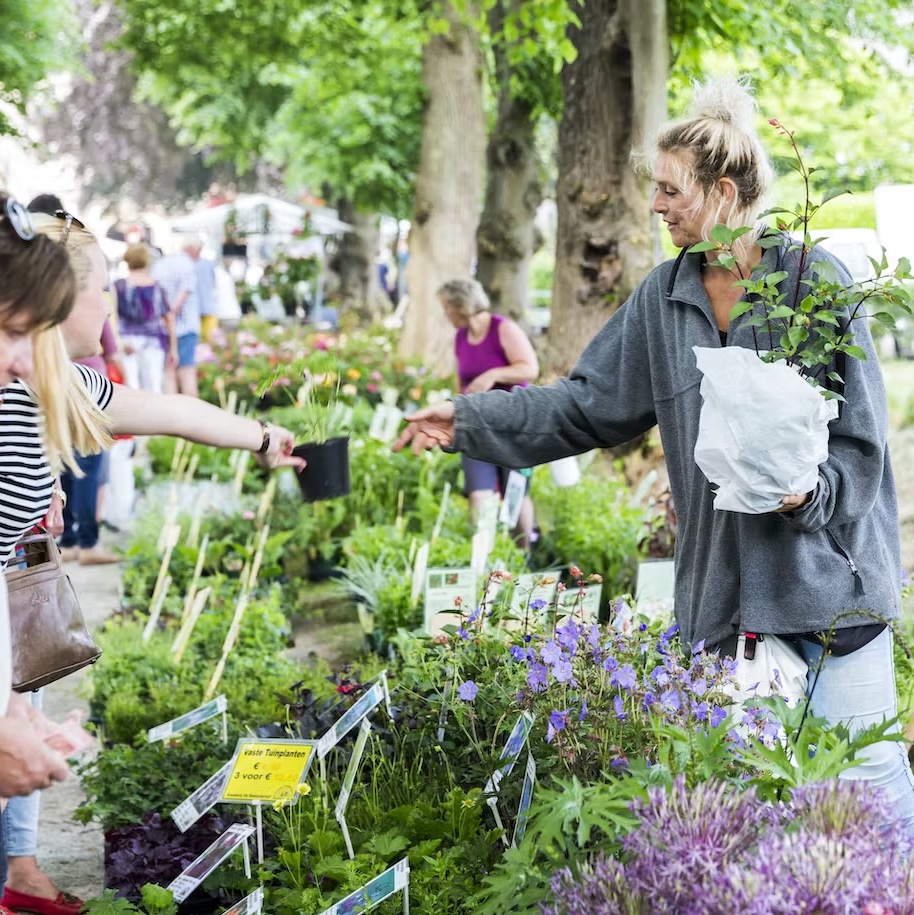 Tuinmarkt - Kasteel Hernen - Wijchen=