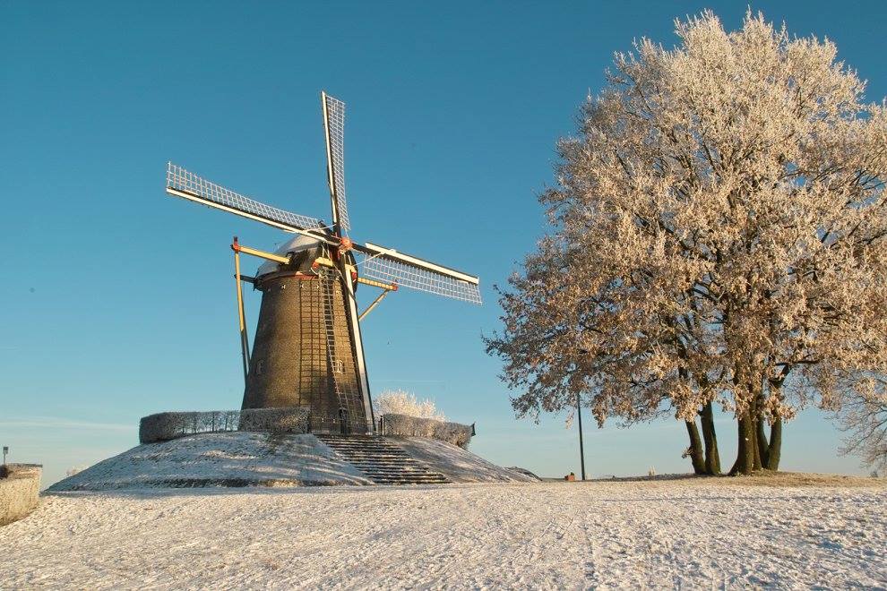 Molen Wijchen - Wijchen=