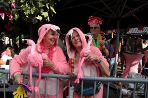 Vierdaagse Dag van Wijchen - Fotograaf Jolanda van de Logt - Wijchen=