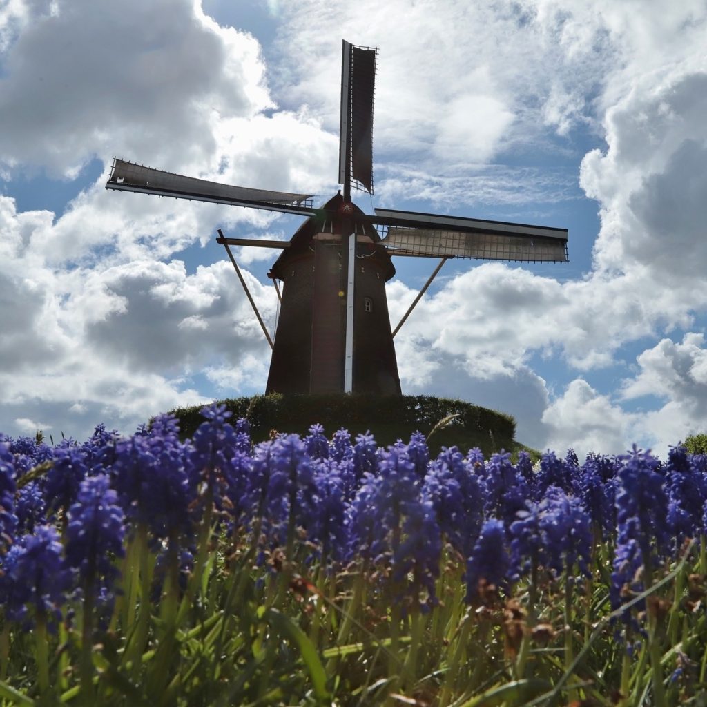 Wijchense molen - Foto Jolanda vd Logt - Wijchen=