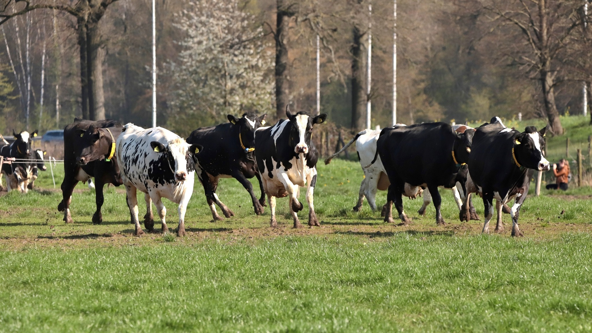 Boerderij de Eikenhorst - Foto Jolanda vd Logt - Wijchen=