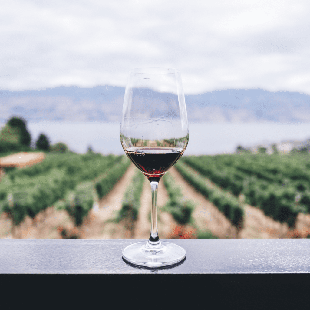 Vino del Vida - Italiaanse wijnen - Wijchen=