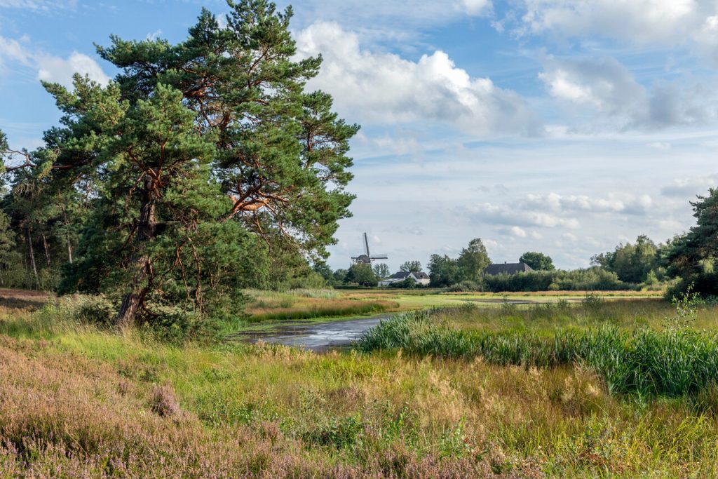 Voorjaarswandeling Hernen - Foto Ton Rothengatter - Wijchen=