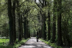 Meimaand fietsmaand - Foto Jolanda vd Logt - Wijchen=