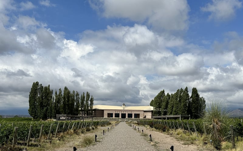 Masterclass Salentein - Vino del Vida - Wijchen=