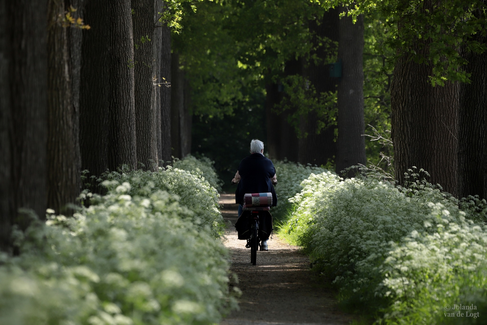 Fietsen - Jolanda van de Logt - Wijchen - Wijchen=