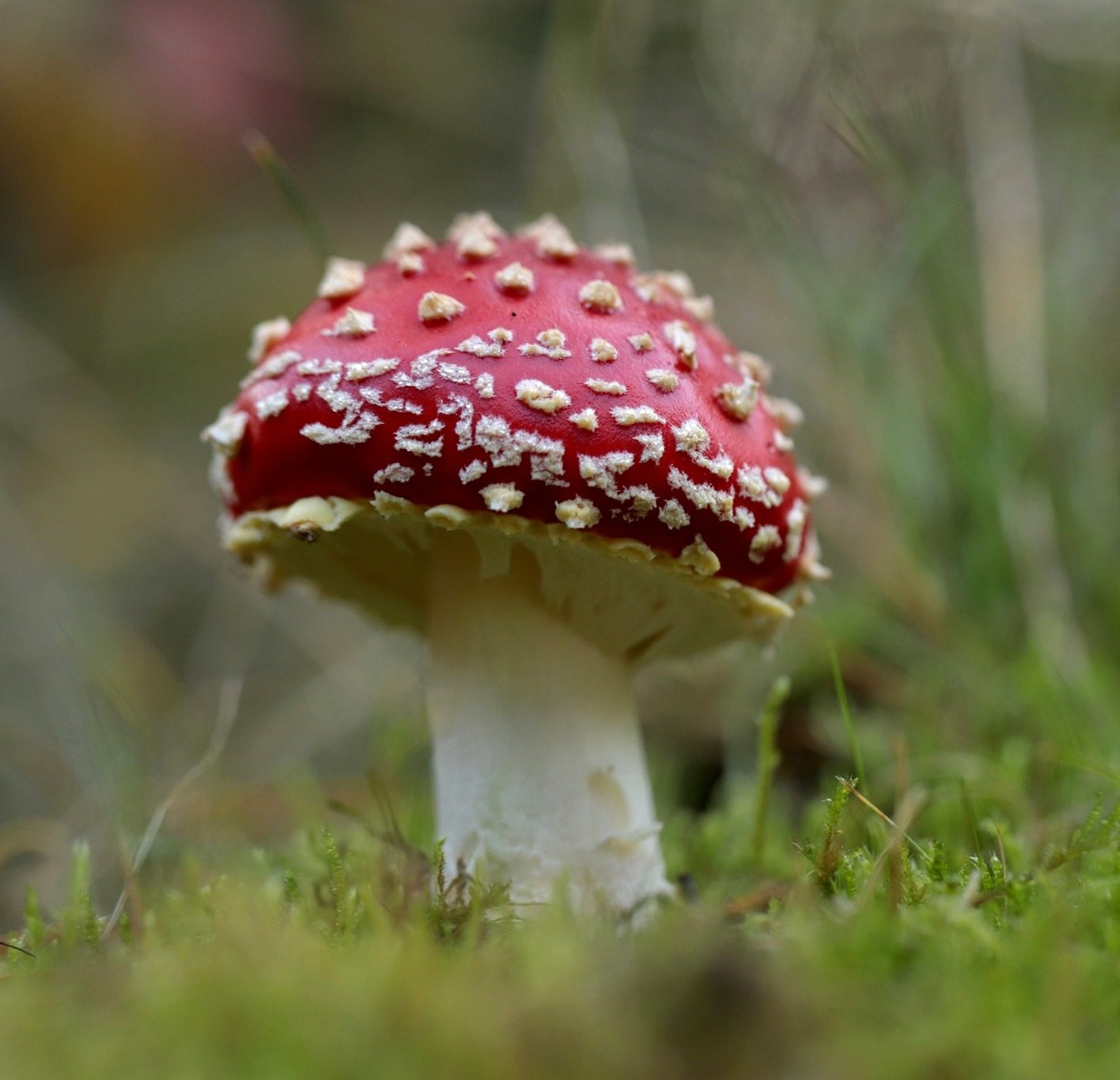 Herfstvakantie - Foto Jolanda vd Logt - Facebook Wijchen in Beeld - Wijchen=