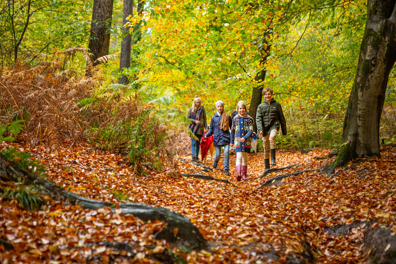 herfstvakantie kasteel Hernen - GLK - Wijchen=