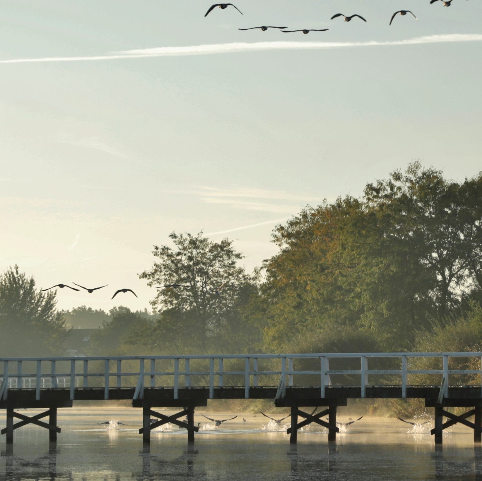 Foto Wijchens Meer - Jolanda vd Logt - Wijchen - Wijchenis